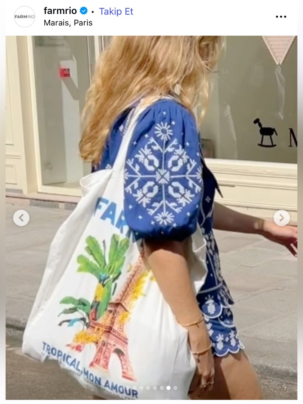 Farm Rio Tote Bag - Picture 3 of 15